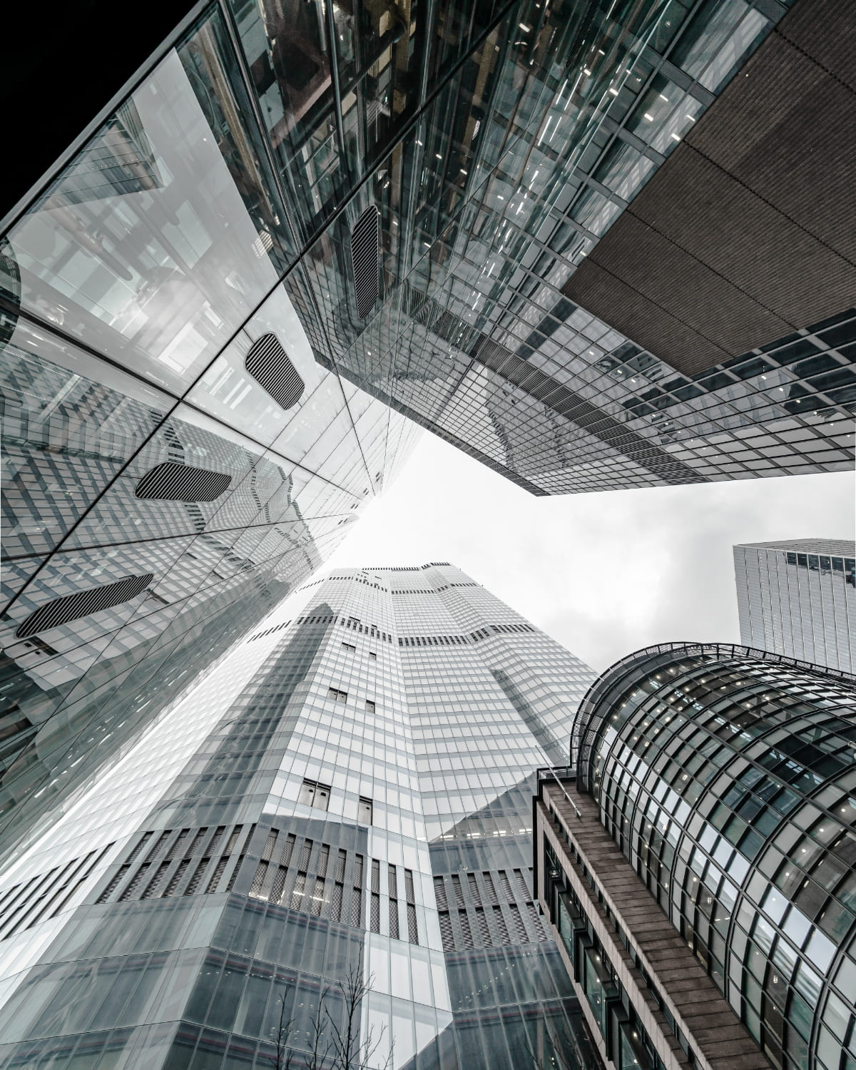 Serviços empresariais de excelência para crescimento